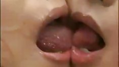 Krischase