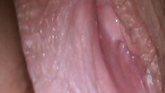 Chloe - məhdudiyyət olmadan (1999)