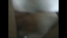 Gül, ən yaxşı eşşək