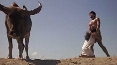 - latina alır Bi-bi-si-də pussy və