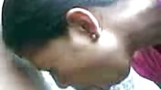 Mələk bağlı  cinsi maşın