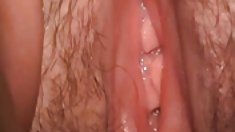 Mişel b edir oğlan qulaqları,