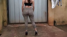 Taylor