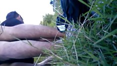 İsti  böyük üzvü